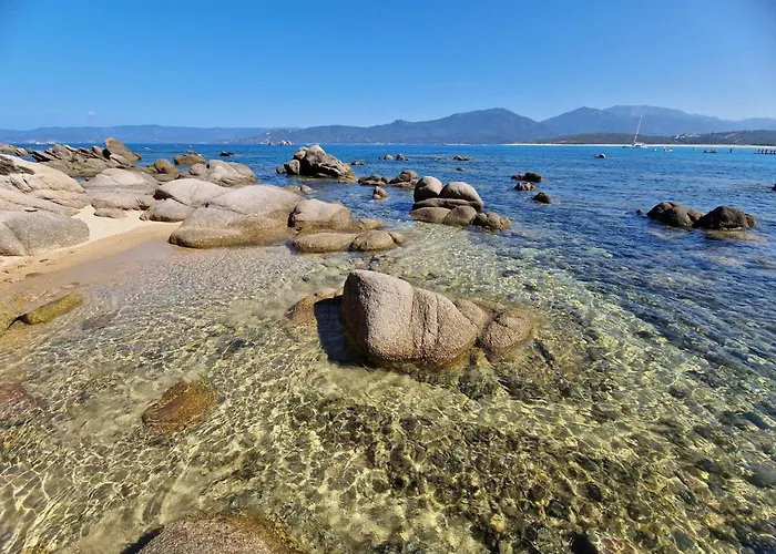 Group Near Sea In Propriano (Corsica)