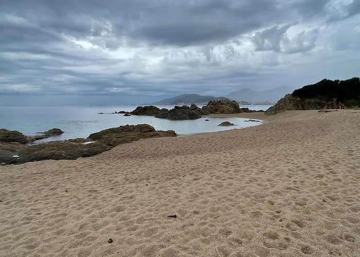 Group Near Sea In