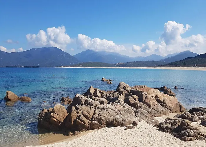 Group Near Sea In Propriano (Corsica)