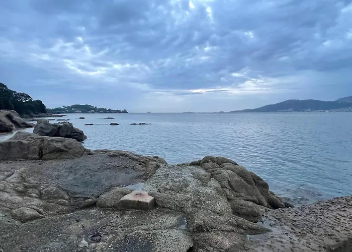 Group Near Sea In Propriano (Corsica)