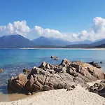 Group Near Sea In Propriano