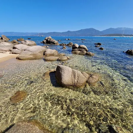 Group Near Sea In Propriano (Corsica)