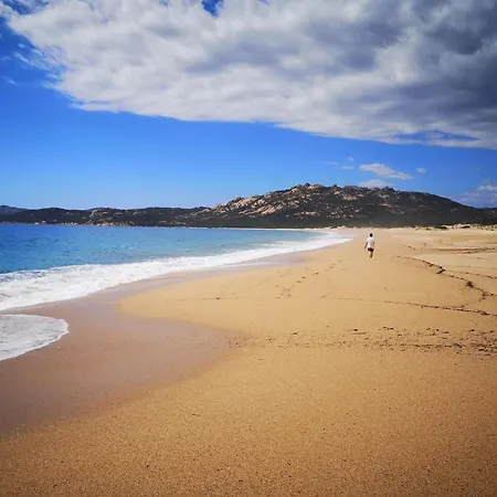 Group Near Sea In * Propriano (Corsica)