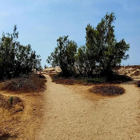 Group Near Sea In *