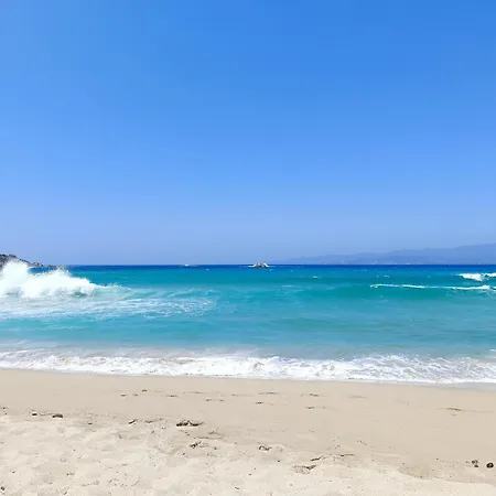 Group Near Sea In Propriano (Corsica)
