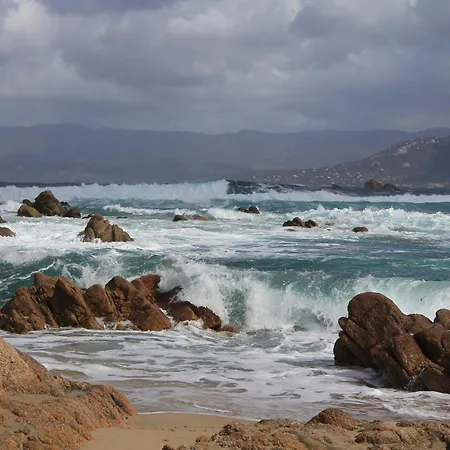 Group Near Sea In *