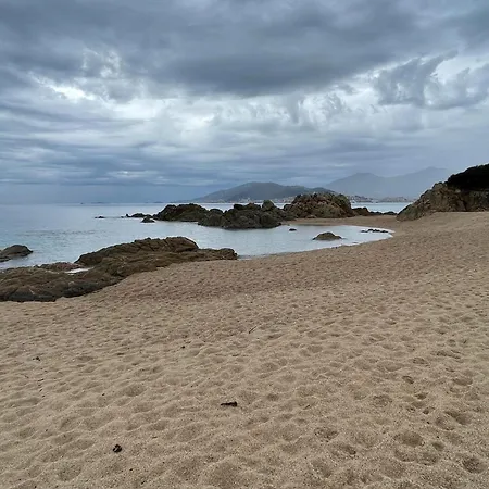 Group Near Sea In