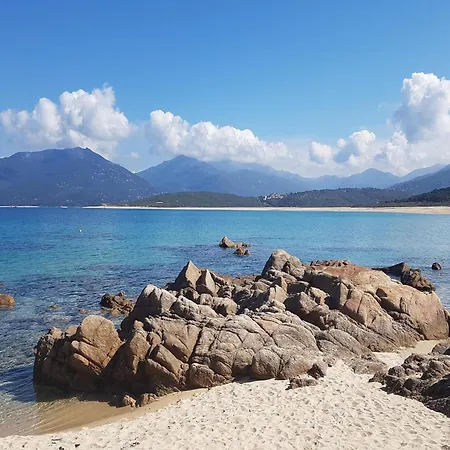 Group Near Sea In Propriano (Corsica)