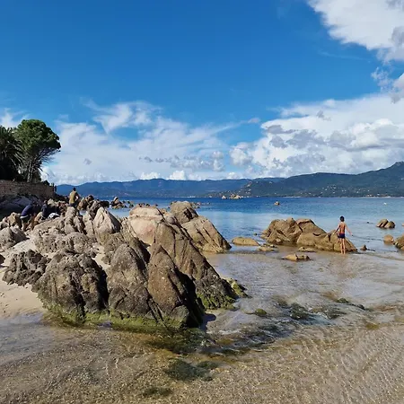 Group Near Sea In * Propriano (Corsica)