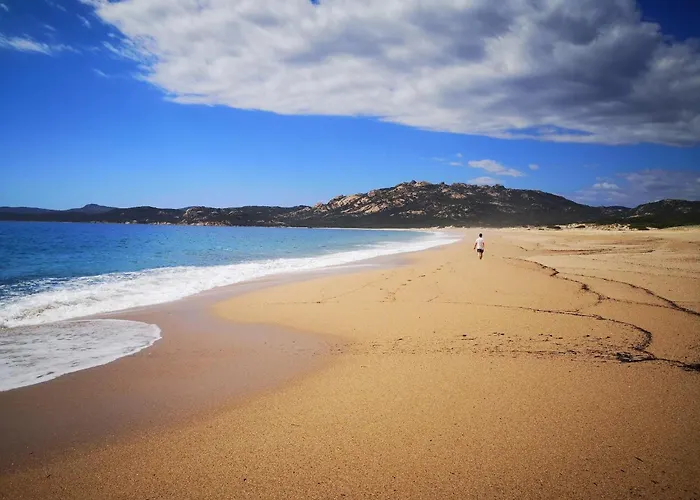 Group Near Sea In * Propriano (Corsica)