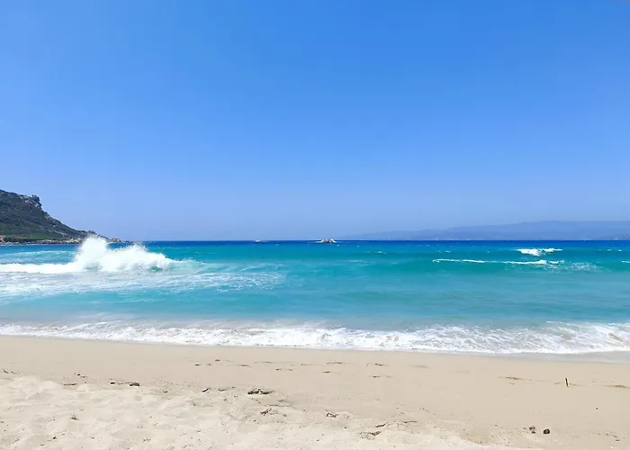 Group Near Sea In Propriano (Corsica)