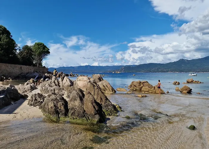 Group Near Sea In * Propriano (Corsica)