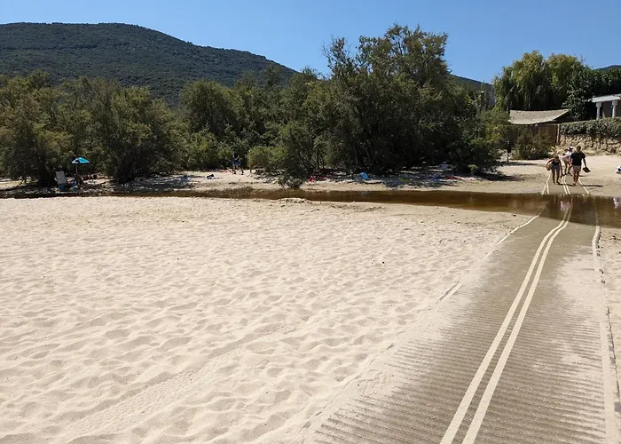 Group Near Sea In * Propriano (Corsica)